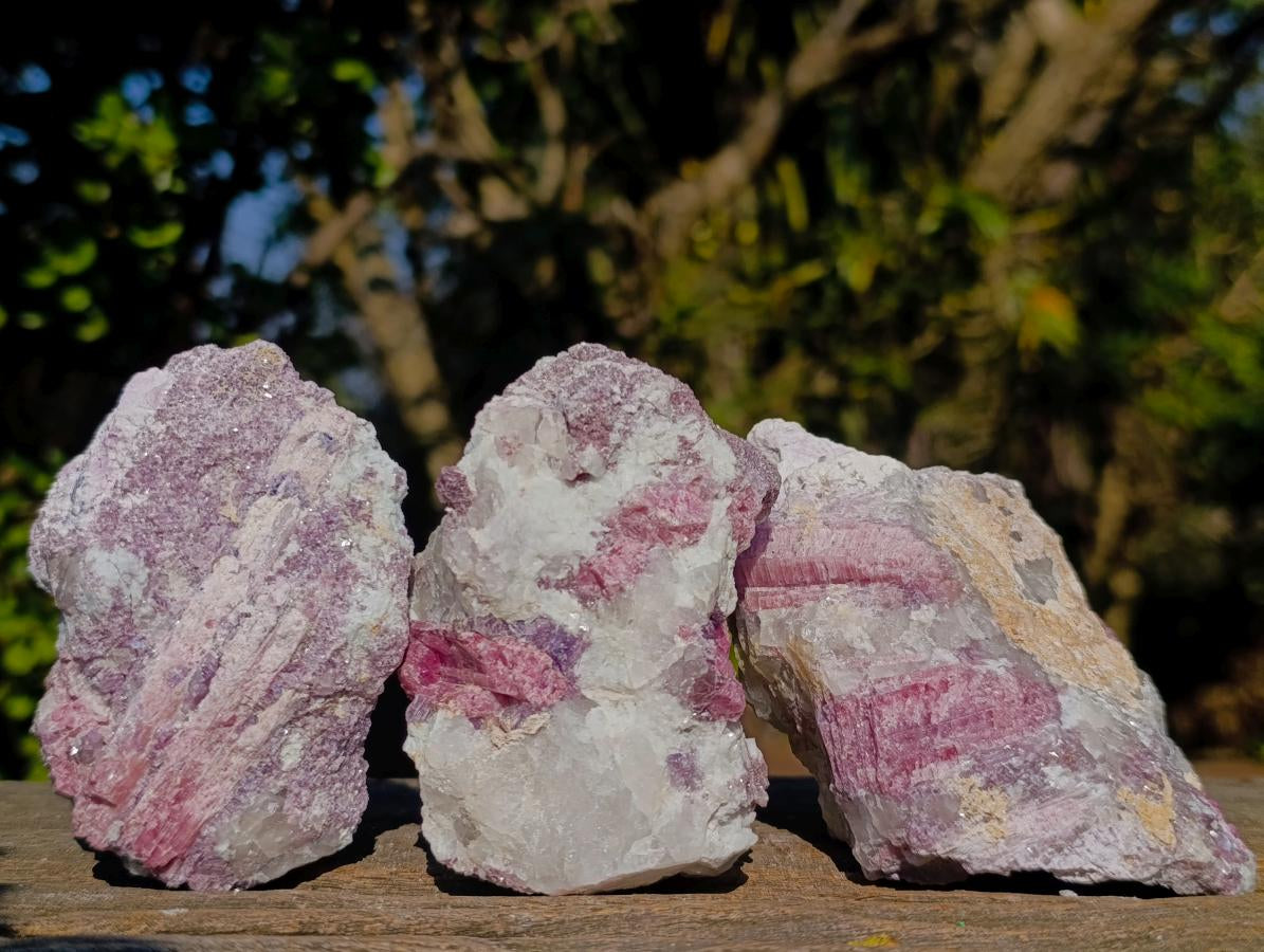 Natural Pink Rubellite Tourmaline Specimens x 12 From Karibib, Namibia