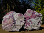 Natural Pink Rubellite Tourmaline Specimens x 12 From Karibib, Namibia