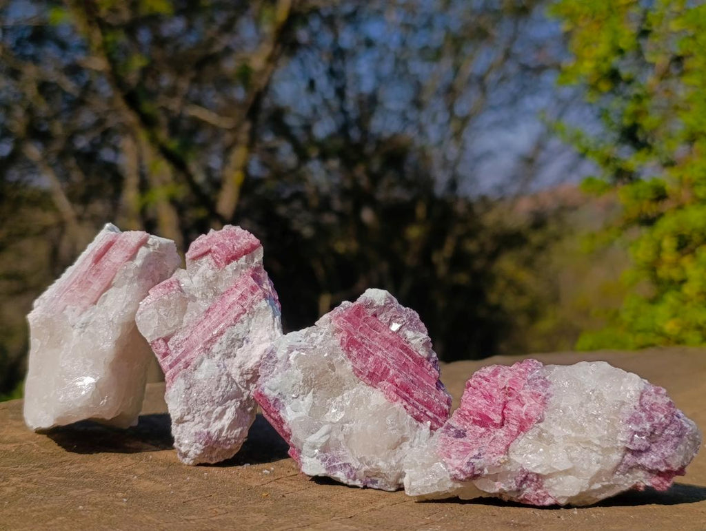 Natural Pink Rubellite Tourmaline Specimens x 12 From Karibib, Namibia