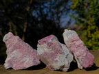Natural Pink Rubellite Tourmaline Specimens x 12 From Karibib, Namibia