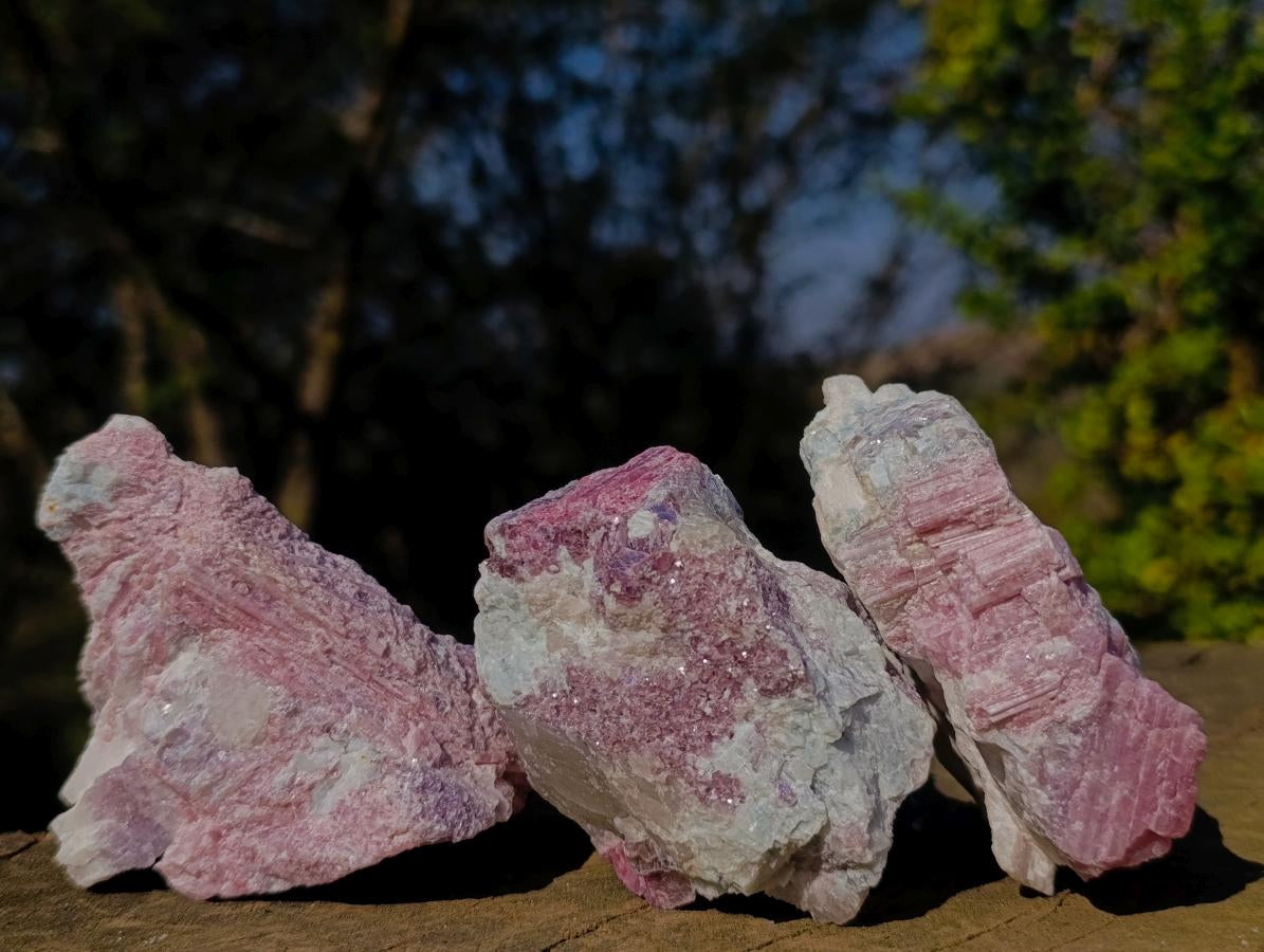 Natural Pink Rubellite Tourmaline Specimens x 12 From Karibib, Namibia