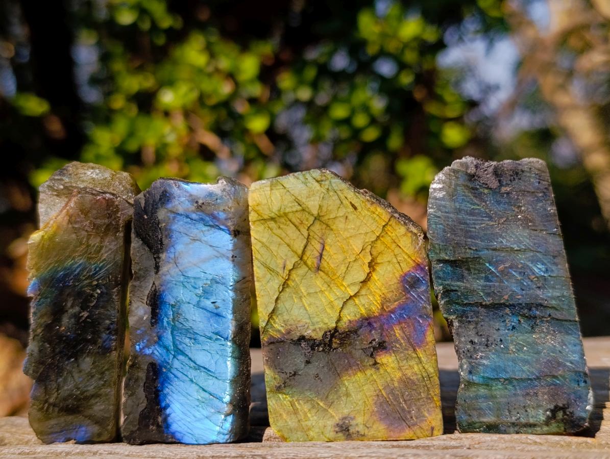 Polished One Side Labradorite Slices x 35 From Madagascar