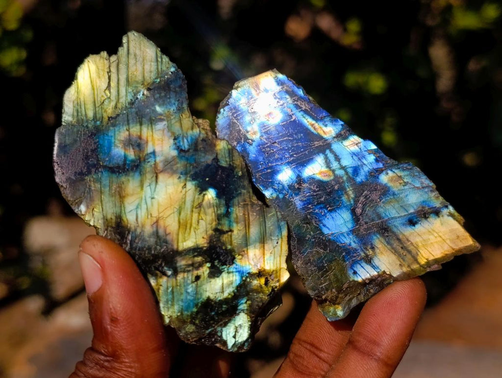Polished One Side Labradorite Slices x 35 From Madagascar