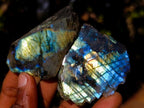 Polished One Side Labradorite Slices x 35 From Madagascar