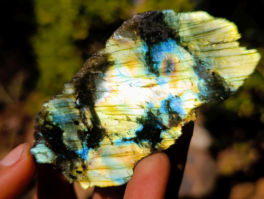 Polished One Side Labradorite Slices x 35 From Madagascar