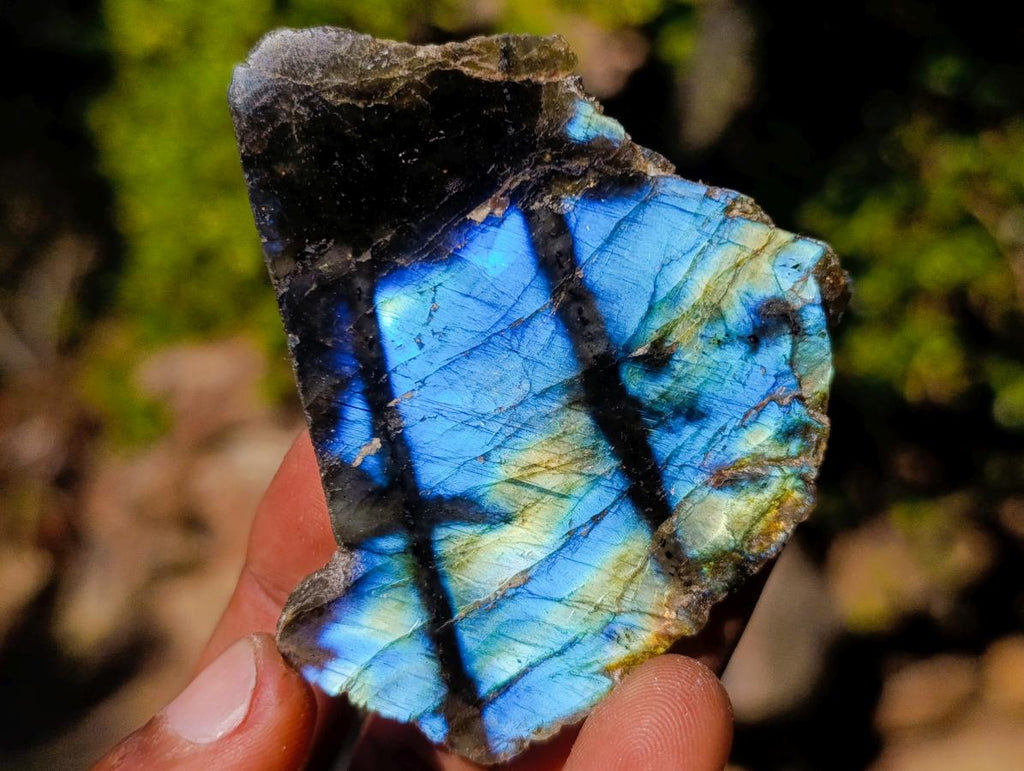 Polished One Side Labradorite Slices x 35 From Madagascar