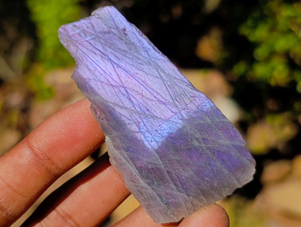 Polished One Side Labradorite Slices x 35 From Madagascar