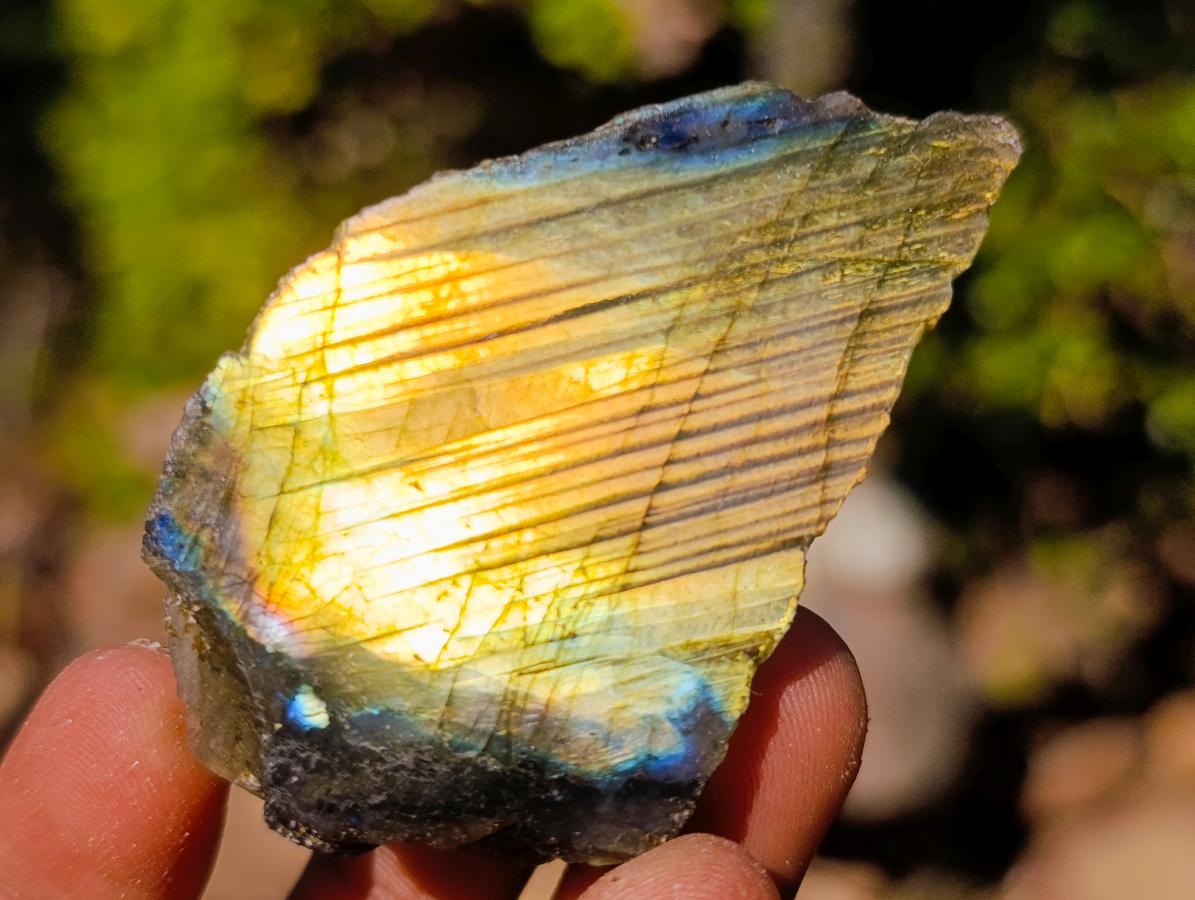 Polished One Side Labradorite Slices x 35 From Madagascar