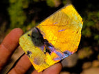Polished One Side Labradorite Slices x 35 From Madagascar