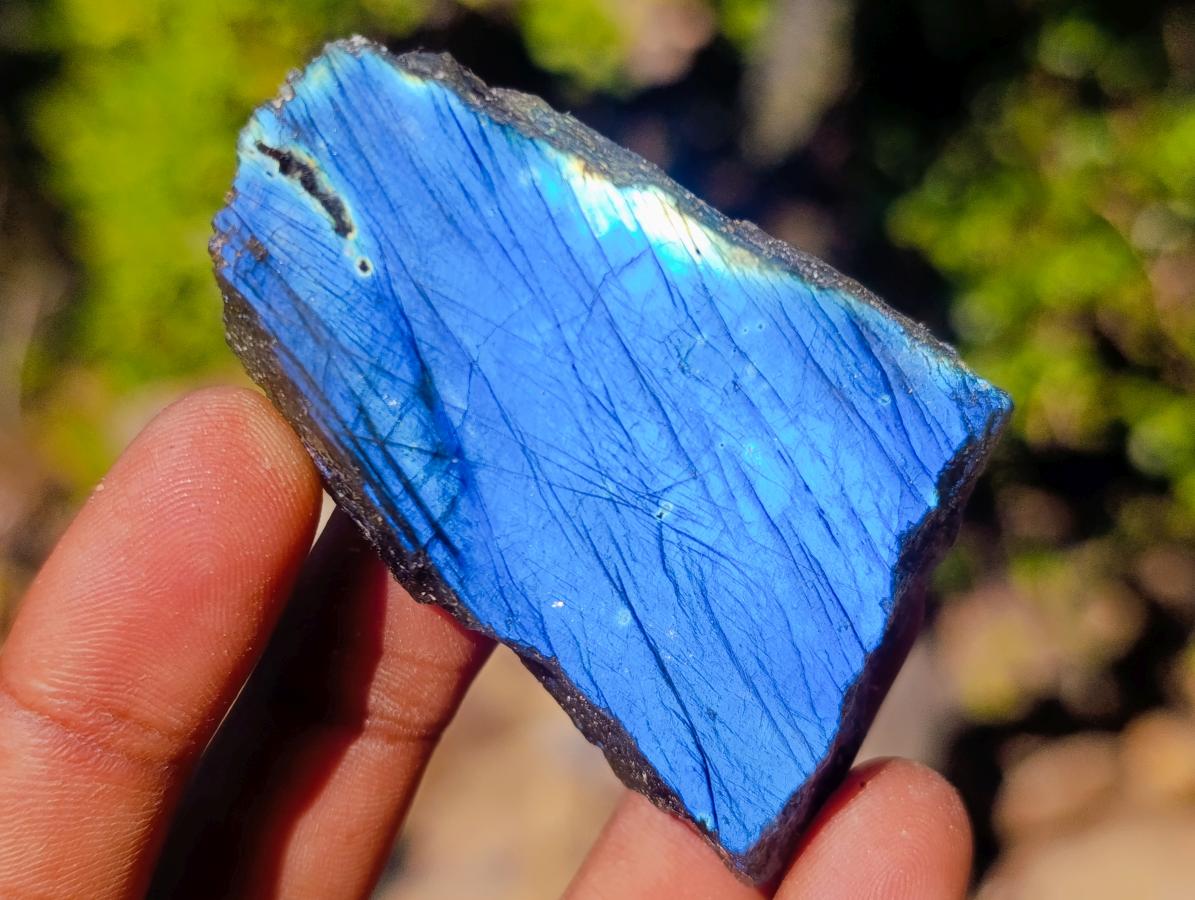 Polished One Side Labradorite Slices x 35 From Madagascar