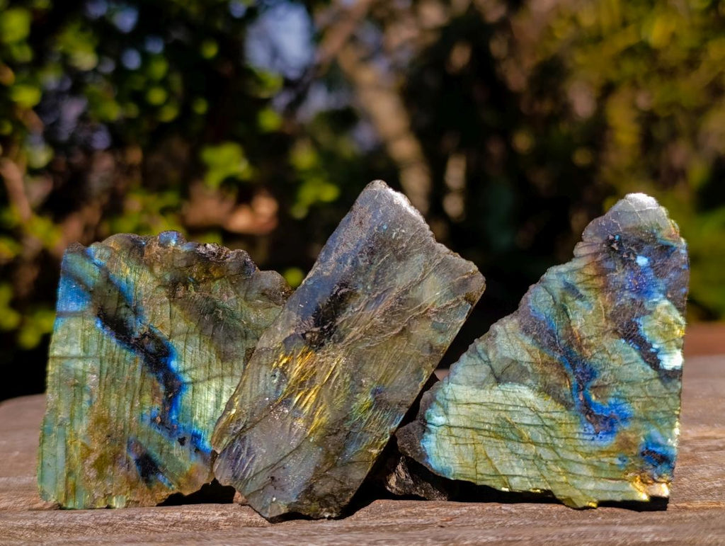 Polished One Side Labradorite Slices x 35 From Madagascar