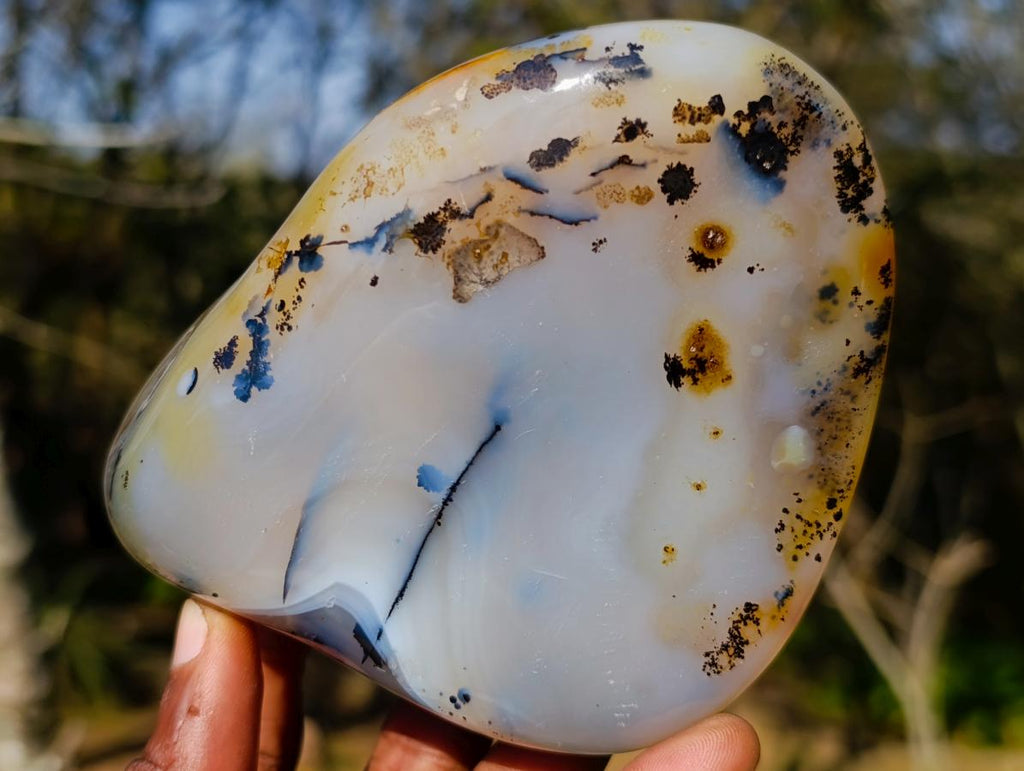 Polished Dendritic Agate Free Forms x 2 From Moralambo, Madagascar