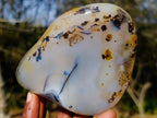 Polished Dendritic Agate Free Forms x 2 From Moralambo, Madagascar