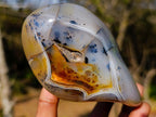 Polished Dendritic Agate Free Forms x 2 From Moralambo, Madagascar