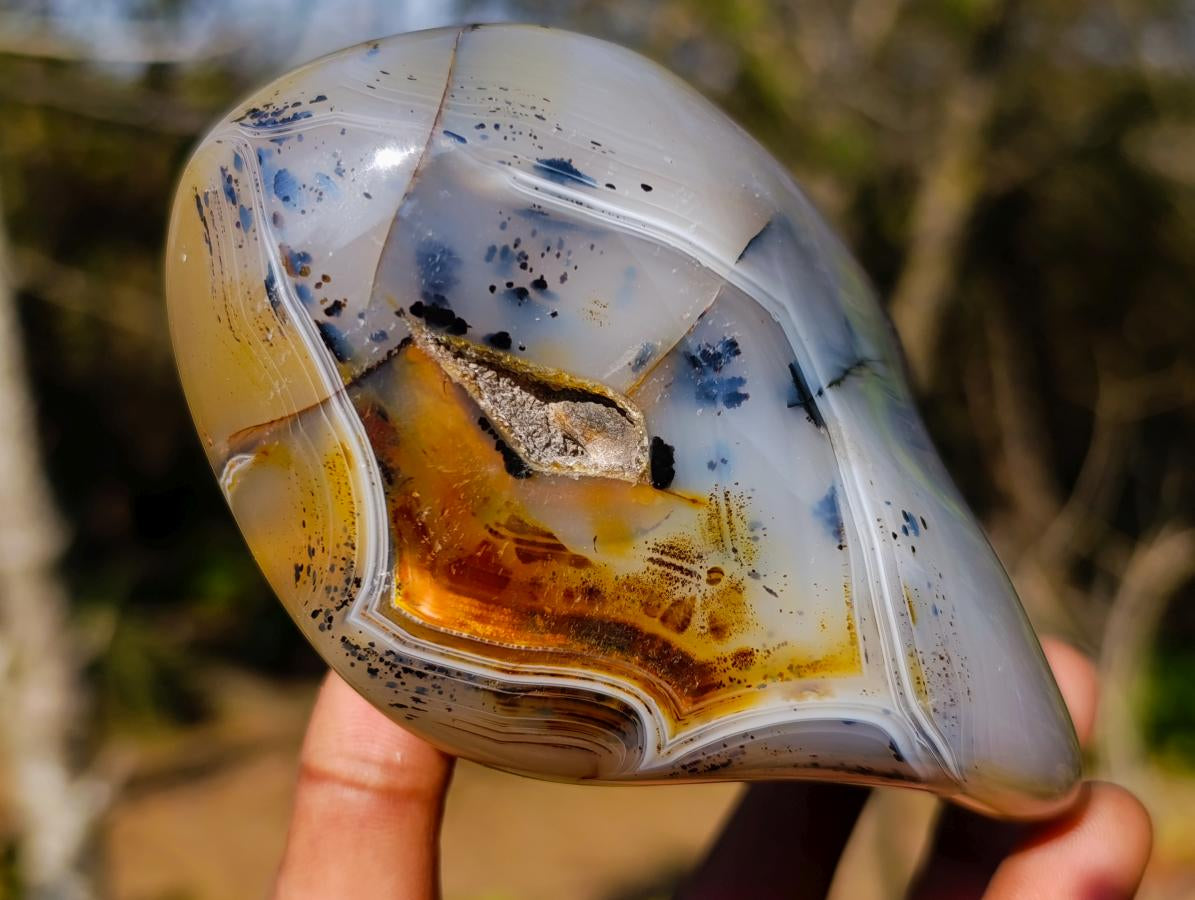 Polished Dendritic Agate Free Forms x 2 From Moralambo, Madagascar
