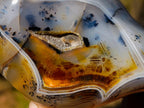 Polished Dendritic Agate Free Forms x 2 From Moralambo, Madagascar