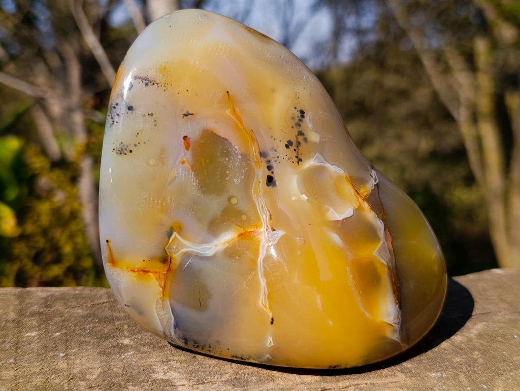 Polished Dendritic Agate Free Forms x 2 From Moralambo, Madagascar
