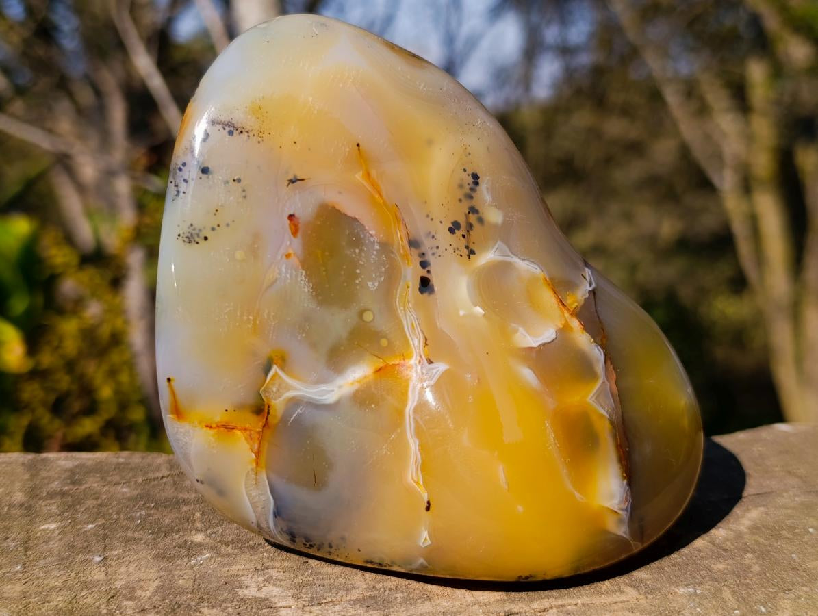 Polished Dendritic Agate Free Forms x 2 From Moralambo, Madagascar