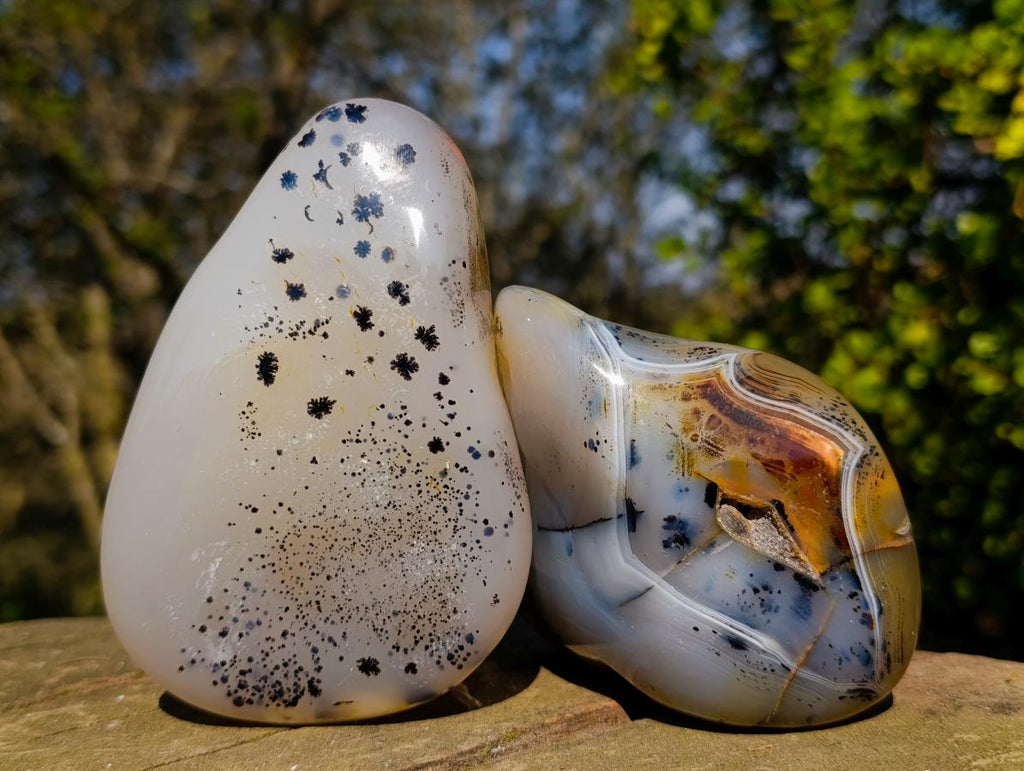Polished Dendritic Agate Free Forms x 2 From Moralambo, Madagascar