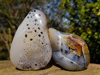 Polished Dendritic Agate Free Forms x 2 From Moralambo, Madagascar