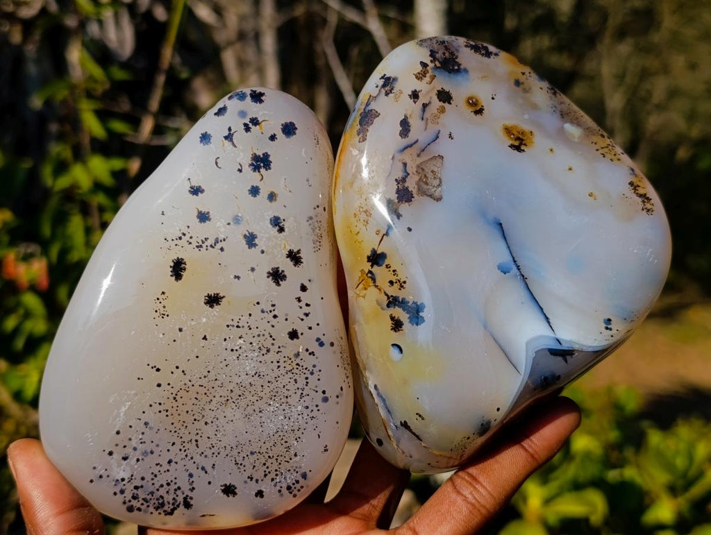 Polished Dendritic Agate Free Forms x 2 From Moralambo, Madagascar