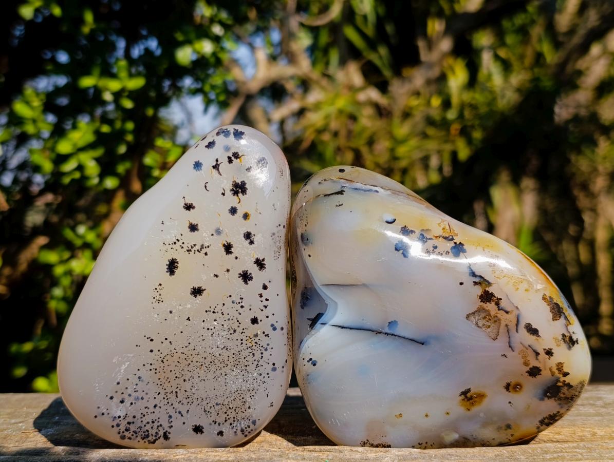 Polished Dendritic Agate Free Forms x 2 From Moralambo, Madagascar