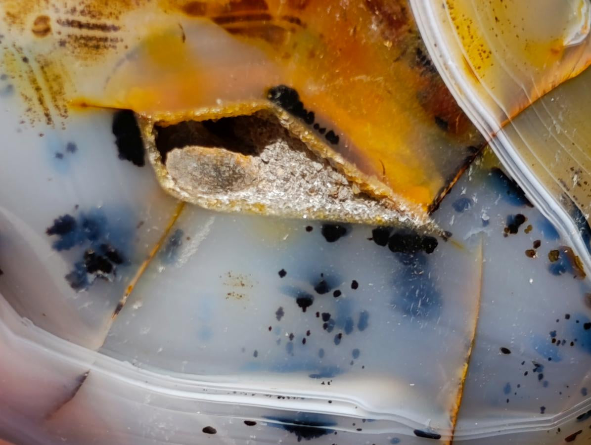 Polished Dendritic Agate Free Forms x 2 From Moralambo, Madagascar