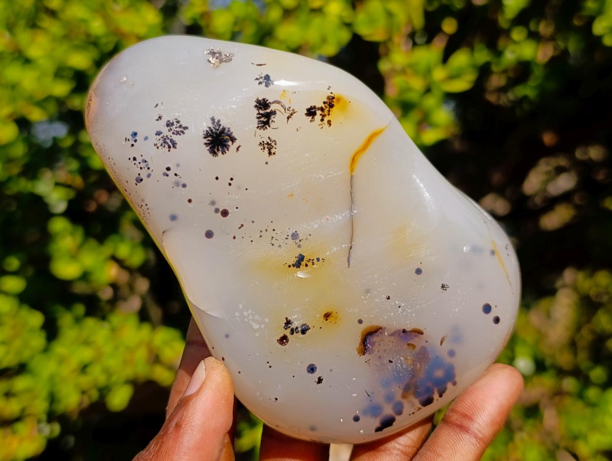 Polished Dendritic Agate Free Forms x 2 From Moralambo, Madagascar
