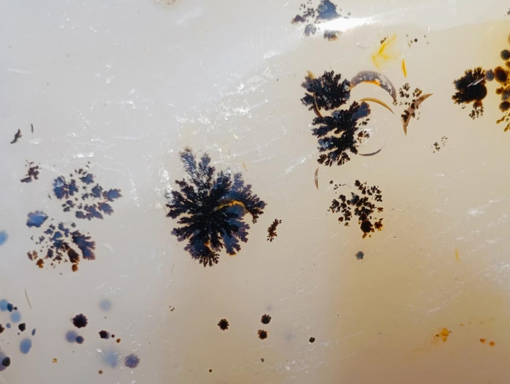 Polished Dendritic Agate Free Forms x 2 From Moralambo, Madagascar
