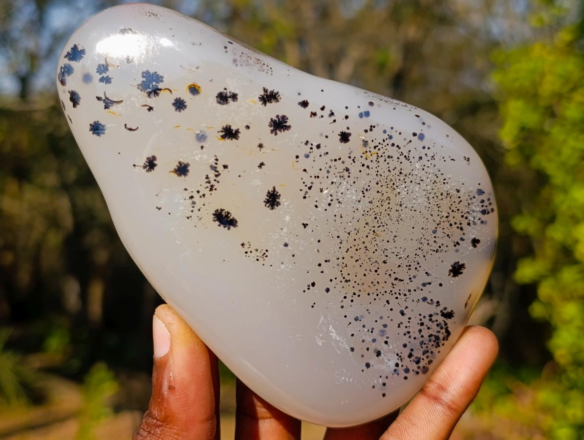 Polished Dendritic Agate Free Forms x 2 From Moralambo, Madagascar