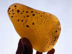 Polished Dendritic Agate Free Forms x 2 From Moralambo, Madagascar