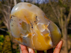 Polished Dendritic Agate Free Forms x 2 From Moralambo, Madagascar