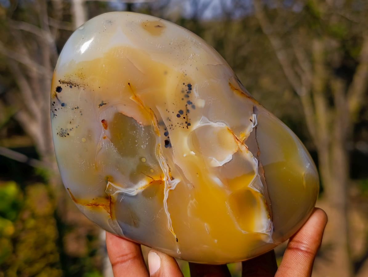 Polished Dendritic Agate Free Forms x 2 From Moralambo, Madagascar