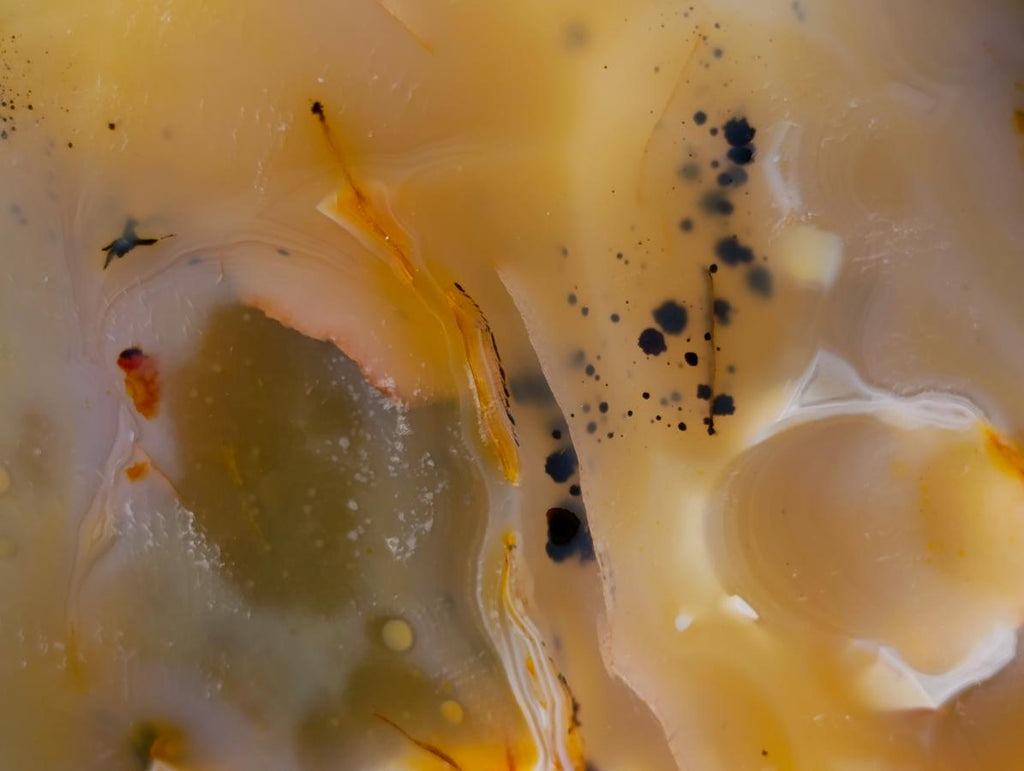 Polished Dendritic Agate Free Forms x 2 From Moralambo, Madagascar