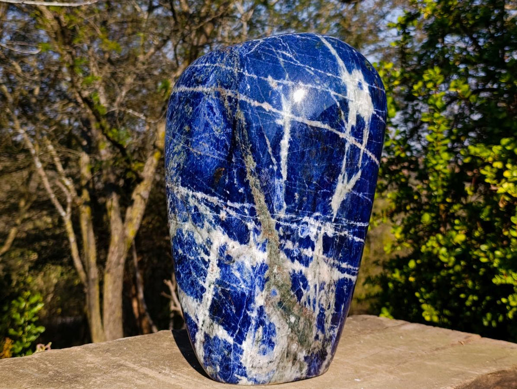 Polished XL Sodalite Standing Display Piece x 1 From Kunene River, Namibia