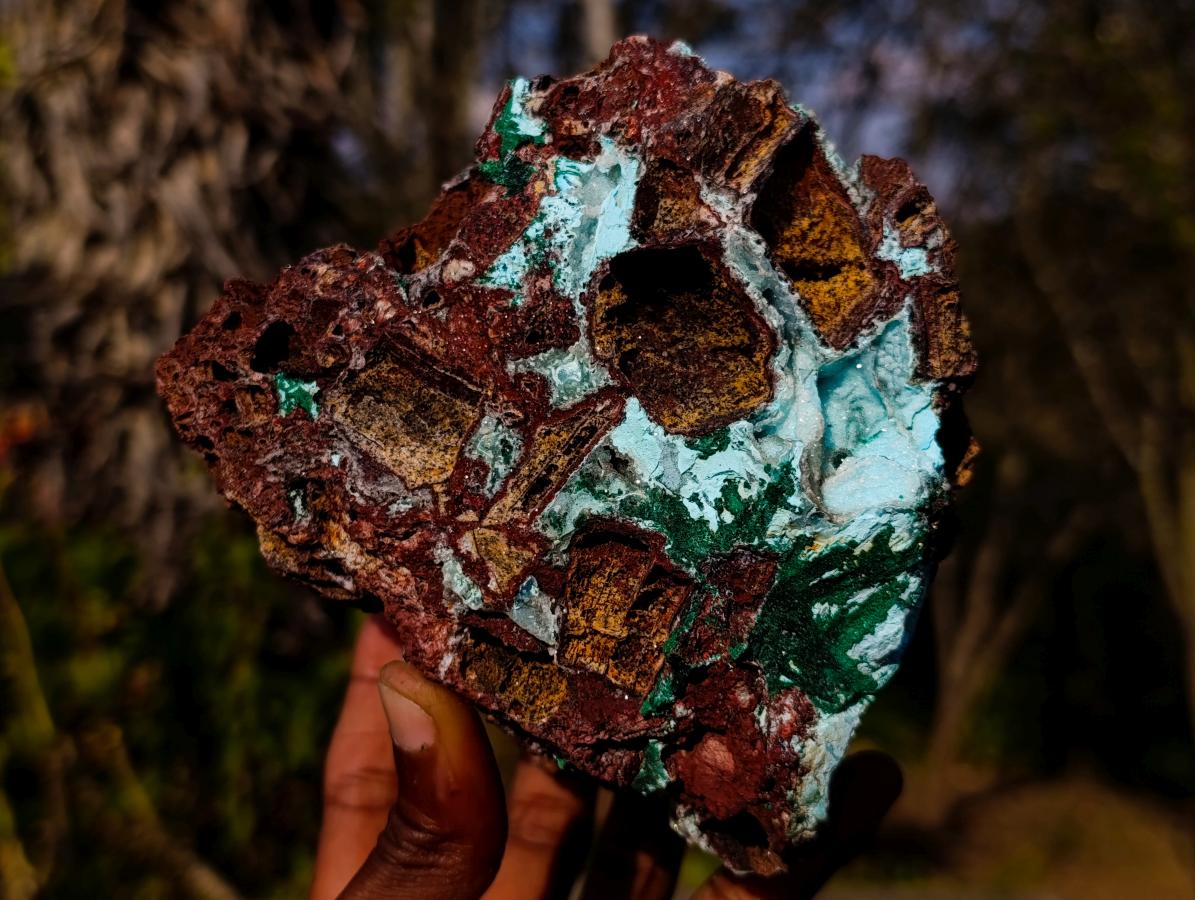 Natural Drusy Coated Chrysocolla Pseudomorph Specimens with Malachite x 3 From Lupoto Mine, Congo