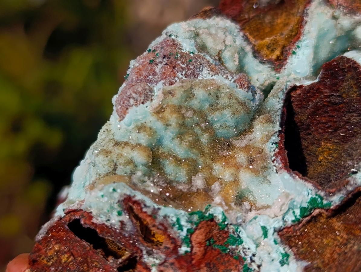 Natural Drusy Coated Chrysocolla Pseudomorph Specimens with Malachite x 3 From Lupoto Mine, Congo