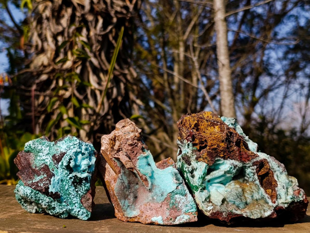 Natural Drusy Coated Chrysocolla Pseudomorph Specimens with Malachite x 3 From Lupoto Mine, Congo