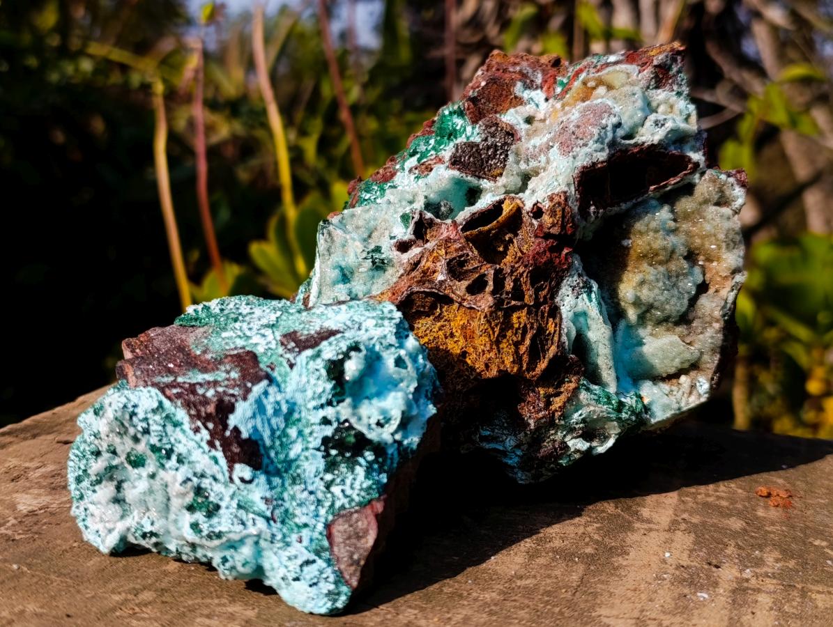 Natural Drusy Coated Chrysocolla Pseudomorph Specimens with Malachite x 3 From Lupoto Mine, Congo