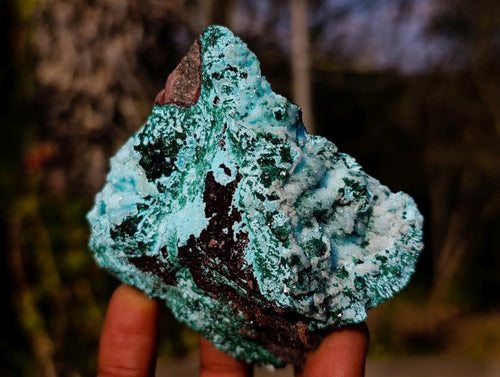 Natural Drusy Coated Chrysocolla Pseudomorph Specimens with Malachite x 3 From Lupoto Mine, Congo - Toprock Gemstones and Minerals 