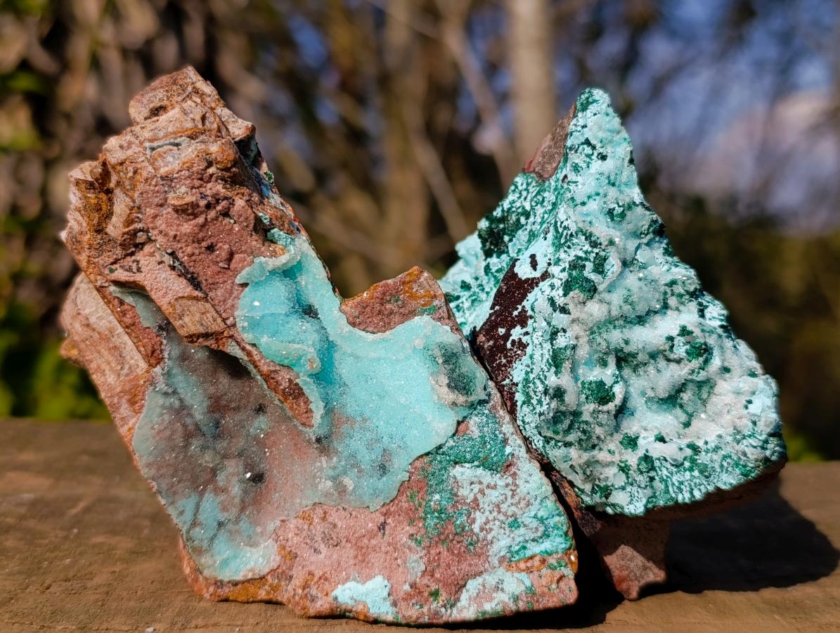 Natural Drusy Coated Chrysocolla Pseudomorph Specimens with Malachite x 3 From Lupoto Mine, Congo