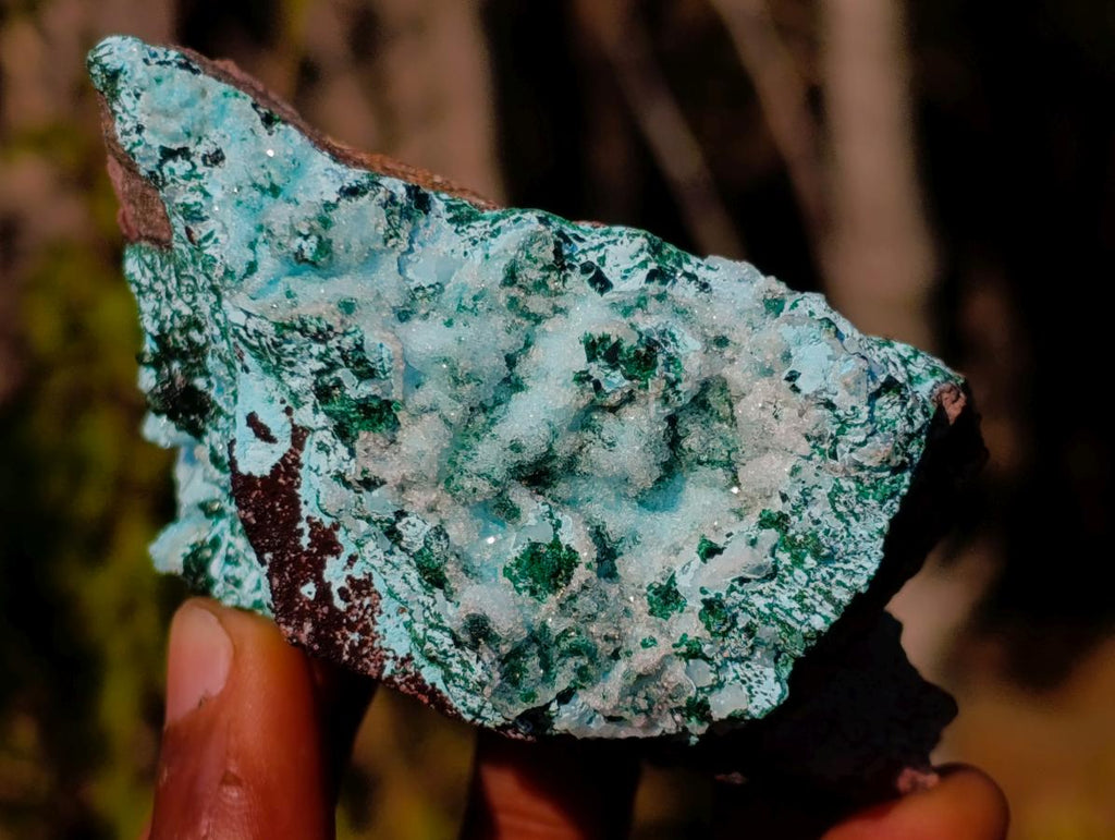 Natural Drusy Coated Chrysocolla Pseudomorph Specimens with Malachite x 3 From Lupoto Mine, Congo