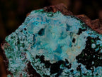 Natural Drusy Coated Chrysocolla Pseudomorph Specimens with Malachite x 3 From Lupoto Mine, Congo