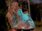 Natural Drusy Coated Chrysocolla Pseudomorph Specimens with Malachite x 3 From Lupoto Mine, Congo