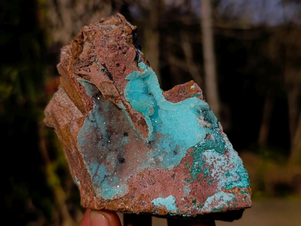Natural Drusy Coated Chrysocolla Pseudomorph Specimens with Malachite x 3 From Lupoto Mine, Congo