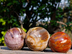 Polished Small Red Podocarpus Petrified Wood Spheres x 12 From Mahajanga, Madagascar