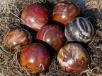 Polished Small Red Podocarpus Petrified Wood Spheres x 12 From Mahajanga, Madagascar