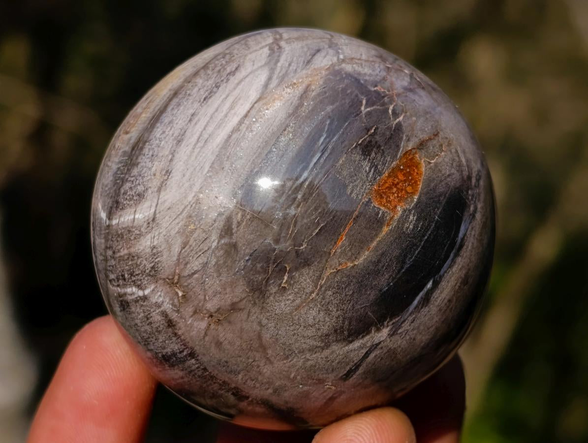 Polished Small Red Podocarpus Petrified Wood Spheres x 12 From Mahajanga, Madagascar
