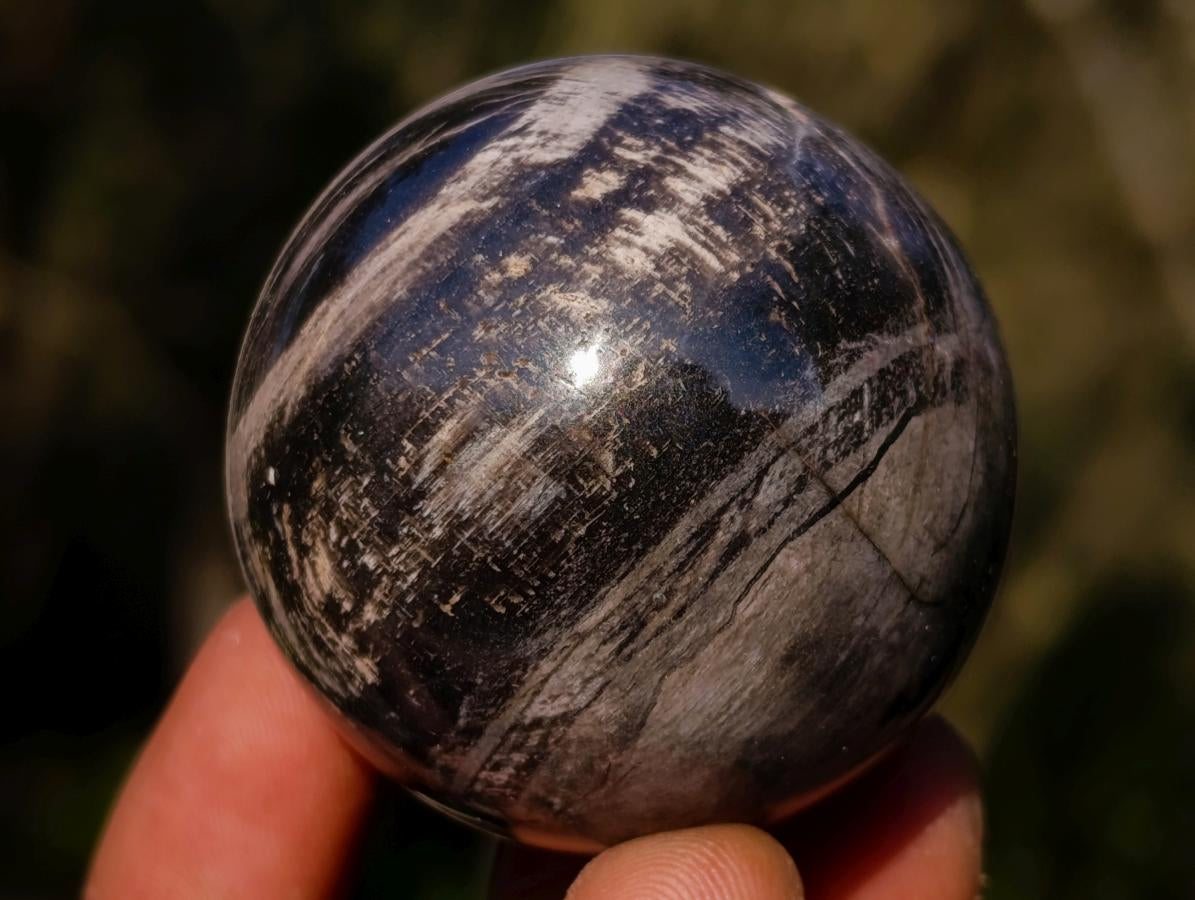 Polished Small Red Podocarpus Petrified Wood Spheres x 12 From Mahajanga, Madagascar