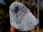 Natural Blue Celestite Specimens x 4 From Sakoany, Madagascar
